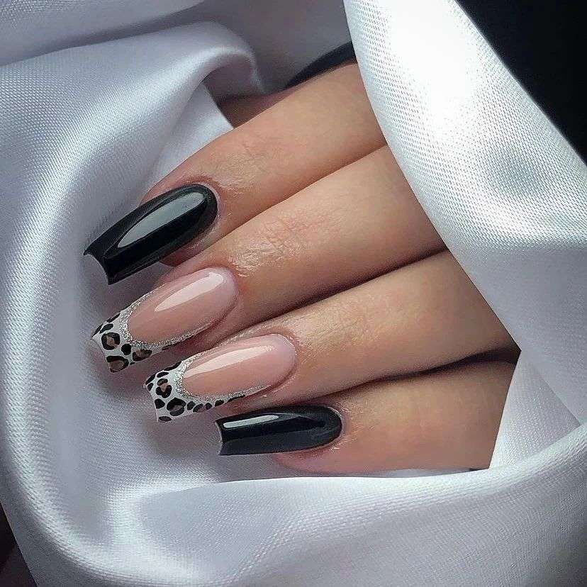 unhas bicolor
